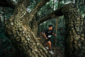 BIB: 
                            <button type="button" onclick="openModal(25394236)" class="btn btn-primary btn-sm float-right btn-popup" data-toggle="modal" data-target=".modal-high-quality">
                        <i class="fas fa-shopping-cart"></i> Add to Cart
                    </button>
                                            <button type="button" onclick="isThisMe(25394236, true)" class="btn btn-success btn-sm float-right btn-popup btn-isme hidden" data-toggle="tooltip" data-placement="bottom" title="นี่คือรูปของคุณใช่ไหม คลิกที่นี่เพื่อเอาเข้าอัลบั้ม">
                        <i class="fas fa-plus"></i> Add to album
                    </button>
                    <button type="button" onclick="isThisMe(25394236, false)" class="btn btn-warning btn-sm float-right btn-popup btn-isnotme hidden">
                        <i class="fas fa-ban"></i> Remove from album
                    </button>